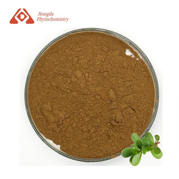 Bacopa Monniera Leaf Extract Powder